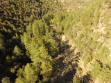 APLITE GOLD, Placer Mining Claim, Bear Creek, Grant County, New Mexico