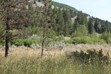 JASE GOLD Placer Mining Claim, Conant Creek, Fremont County, Idaho