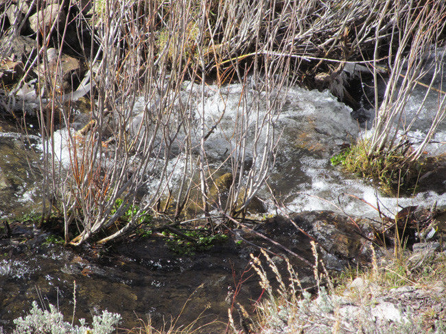 KOLOB #1 MINE, Placer Claim, Pinto Creek, Washington County, Utah