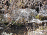 KOLOB #1 MINE, Placer Claim, Pinto Creek, Washington County, Utah