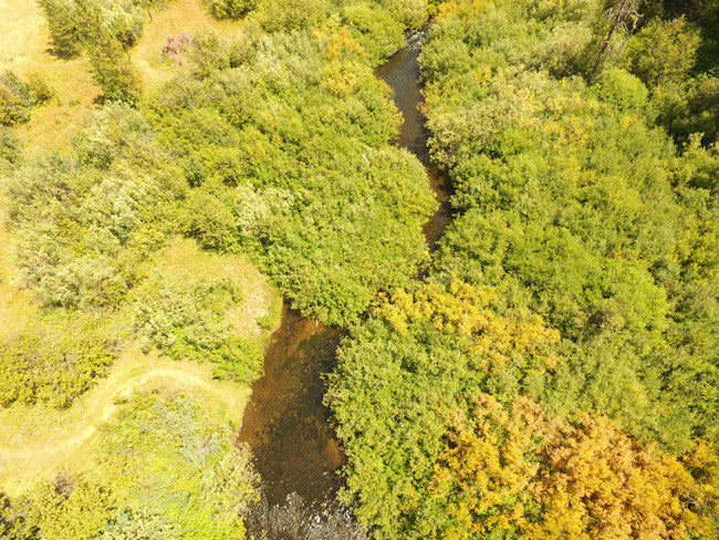 ASARCO GOLD Placer Mining Claim, Squirrel Creek, Fremont County, Idaho