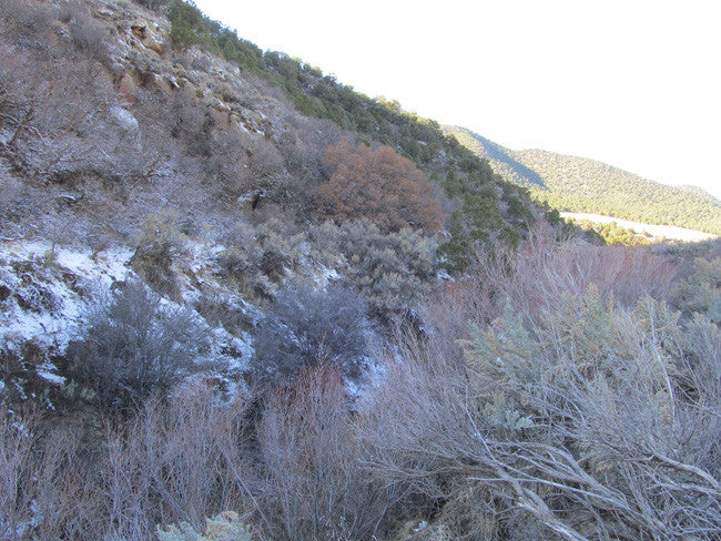 HARMONY MINE, Placer Claim, Pinto Creek, Washington County, Utah