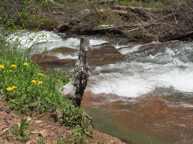 CUNNINGHAM GOLD Placer Mining Claim, S. Fork Mineral Creek, San Juan County, Colorado