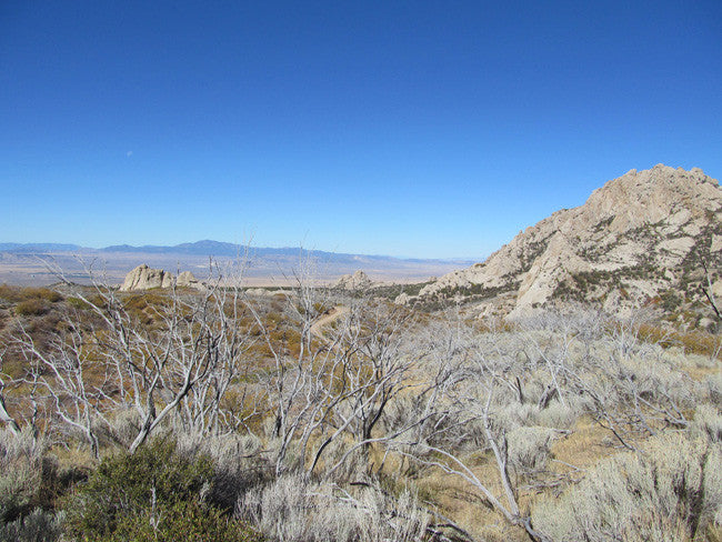 GRIMSEL SMOKY, Placer Mining Claim, Rock Creek, Beaver County, Utah