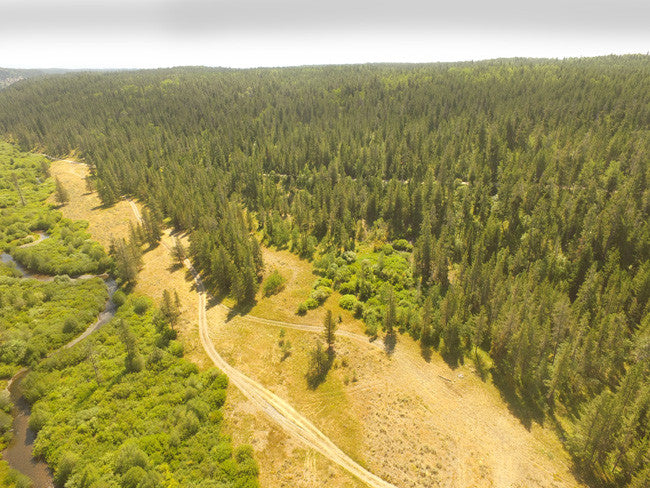 JASE GOLD Placer Mining Claim, Conant Creek, Fremont County, Idaho