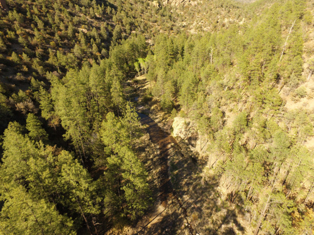 APLITE GOLD, Placer Mining Claim, Bear Creek, Grant County, New Mexico