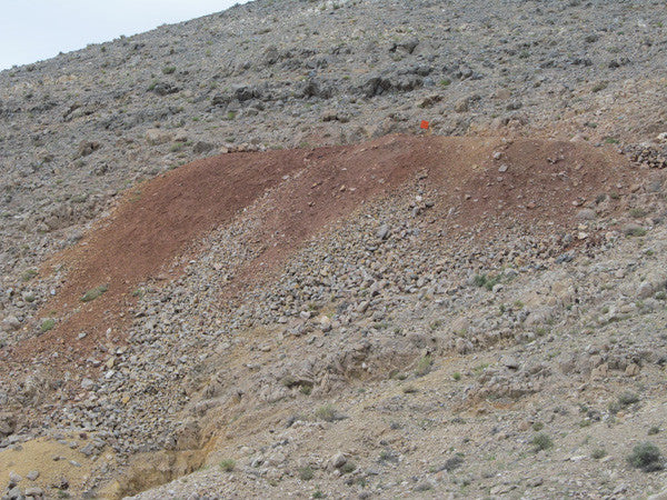LEPRECHAUN GOLD MINE, Lode Mining Claim, Fallon, Churchill County, Nevada