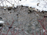 KANOWNA BELLE GOLD Placer Mining Claim, Cottonwood Creek, Dolores County, Colorado