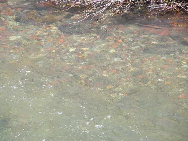 KING SOLOMON GOLD Placer Mining Claim, S. Fork Mineral Creek, San Juan County, Colorado