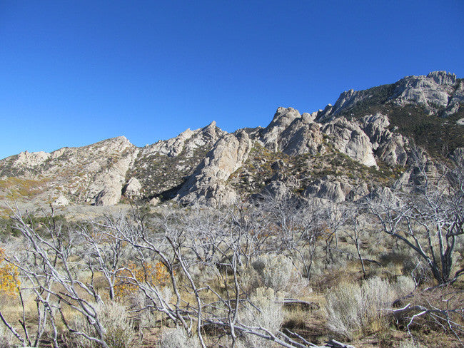 BLACK SMOKY QUARTZ, Placer Mining Claim, Rock Creek, Beaver County, Utah