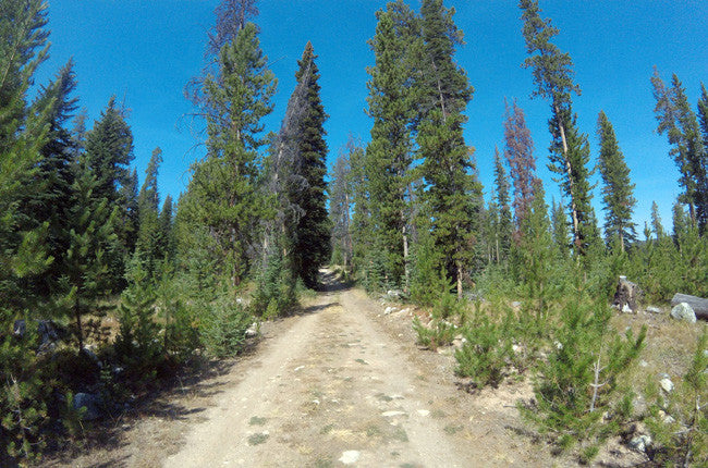 BAANDERS GOLD Placer Mining Claim, French Creek, Beaverhead County, Montana