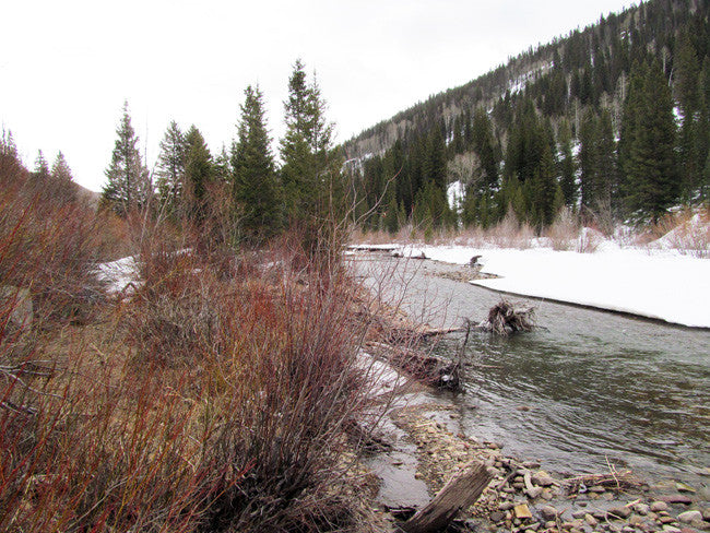 BETTY EYRE GOLD Placer Mining Claim, Dolores River, Dolores County, Colorado