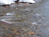 DOVE SEAT GOLD Placer Mining Claim, Dolores River, Dolores County, Colorado