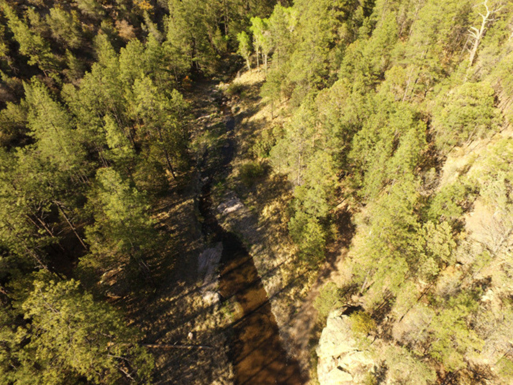 APLITE GOLD, Placer Mining Claim, Bear Creek, Grant County, New Mexico