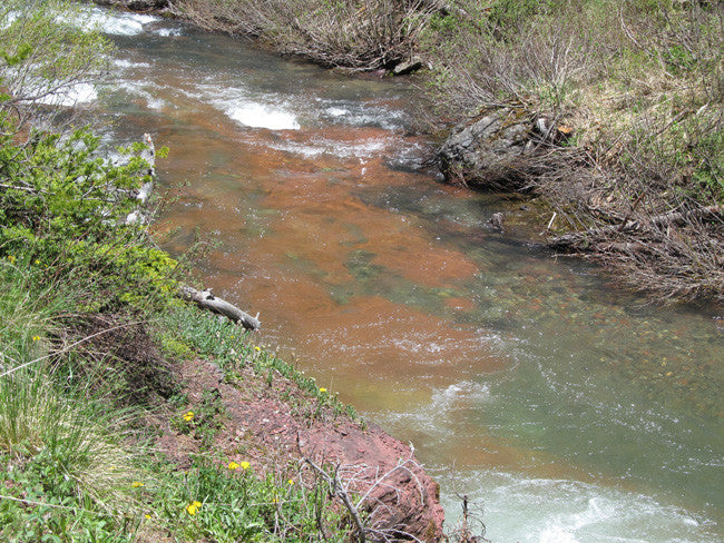 KING SOLOMON GOLD Placer Mining Claim, S. Fork Mineral Creek, San Juan County, Colorado