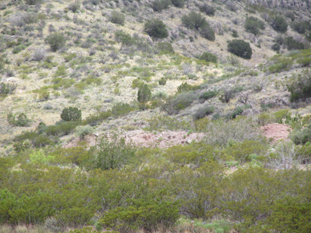 BRAMBLE FLUORITE Placer Mining Claim, Hansonburg District, Socorro County, New Mexico