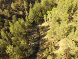APLITE GOLD, Placer Mining Claim, Bear Creek, Grant County, New Mexico