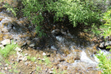 HAPPY FORTUNE GOLD Placer Mining Claim, Indian Creek, Beaver County, Utah