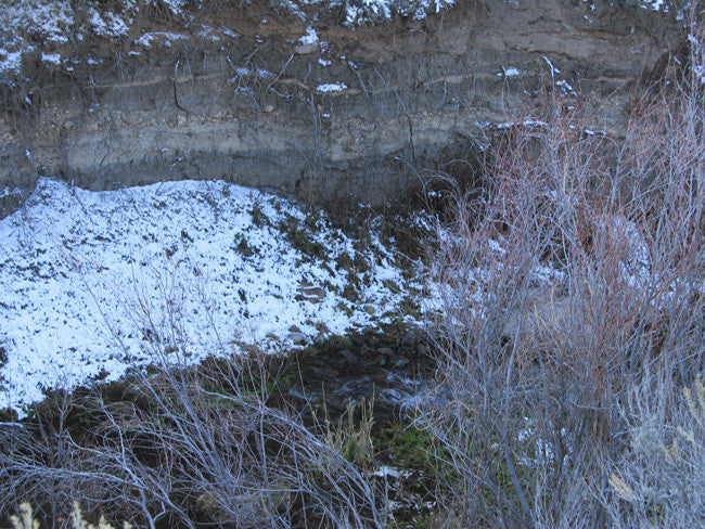 HARMONY MINE, Placer Claim, Pinto Creek, Washington County, Utah