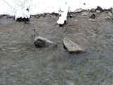 KANOWNA BELLE GOLD Placer Mining Claim, Cottonwood Creek, Dolores County, Colorado