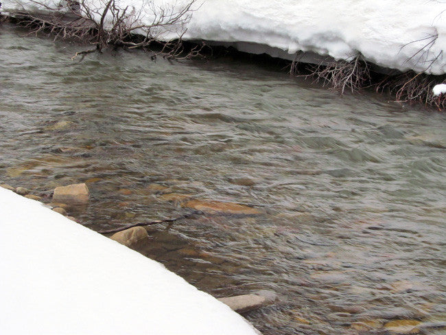 DOVE SEAT GOLD Placer Mining Claim, Dolores River, Dolores County, Colorado