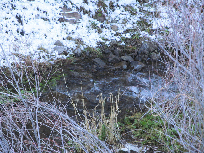 HARMONY MINE, Placer Claim, Pinto Creek, Washington County, Utah