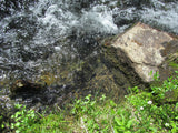 DIOR GOLD, Placer Mining Claim, N. Quartz Creek, Gunnison County, Colorado