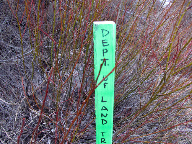 BETTY EYRE GOLD Placer Mining Claim, Dolores River, Dolores County, Colorado