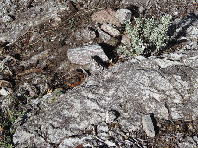 KOLOB #1 MINE, Placer Claim, Pinto Creek, Washington County, Utah