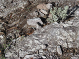 KOLOB #1 MINE, Placer Claim, Pinto Creek, Washington County, Utah