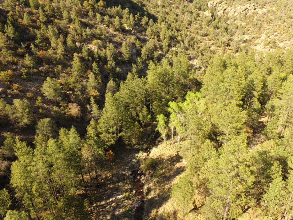 APLITE GOLD, Placer Mining Claim, Bear Creek, Grant County, New Mexico