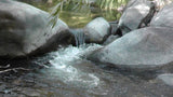 BLACK OAK Placer Mining Claim, Mineral King Mining District, Three Rivers, Tulare County, California