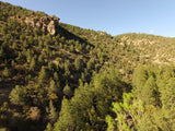APLITE GOLD, Placer Mining Claim, Bear Creek, Grant County, New Mexico