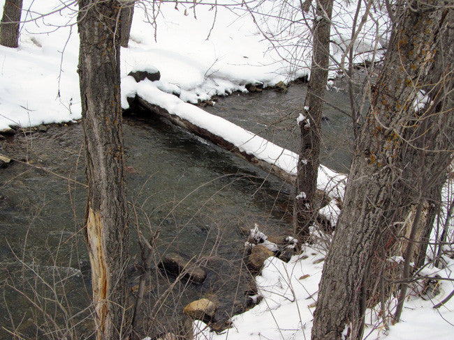 KANOWNA BELLE GOLD Placer Mining Claim, Cottonwood Creek, Dolores County, Colorado