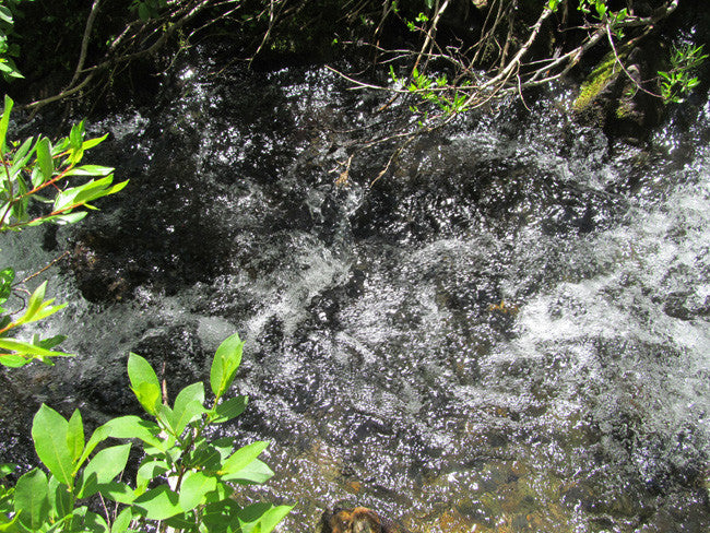 DIOR GOLD, Placer Mining Claim, N. Quartz Creek, Gunnison County, Colorado