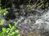 DIOR GOLD, Placer Mining Claim, N. Quartz Creek, Gunnison County, Colorado