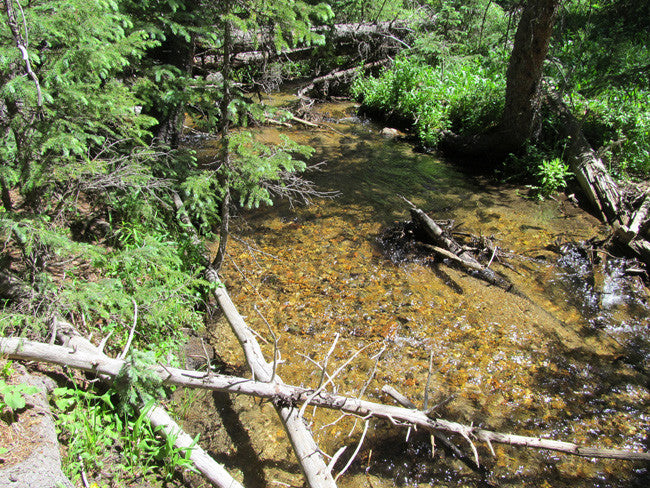 AURELIAN GOLD Placer Mining Claim, Gold Creek, Gunnison County, Colorado