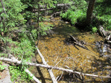 AURELIAN GOLD Placer Mining Claim, Gold Creek, Gunnison County, Colorado