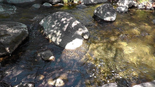 BLACK OAK Placer Mining Claim, Mineral King Mining District, Three Rivers, Tulare County, California