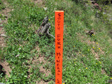 KING SOLOMON GOLD Placer Mining Claim, S. Fork Mineral Creek, San Juan County, Colorado