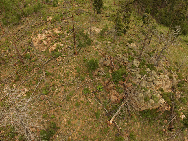 AROLLA Placer Mining Claim, Dorris Topaz, Park County, Colorado