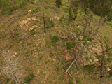 AROLLA Placer Mining Claim, Dorris Topaz, Park County, Colorado