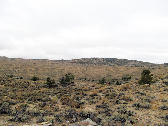 DUCK BONE JADE, Placer Mining Claim, Big Horn Jade, Fremont County, Wyoming