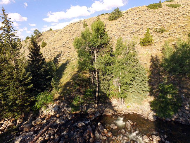 BRIDGER GOLD Placer Mining Claim, Tensleep Creek, Washakie County, Wyoming