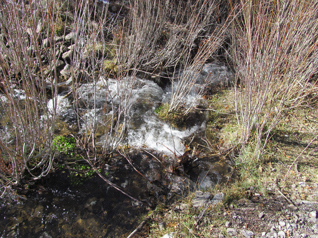 KOLOB #1 MINE, Placer Claim, Pinto Creek, Washington County, Utah