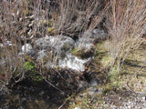 KOLOB #1 MINE, Placer Claim, Pinto Creek, Washington County, Utah