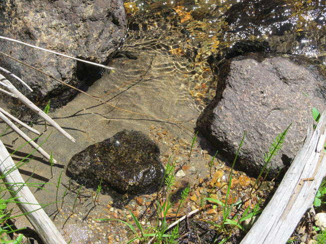 AURELIAN GOLD Placer Mining Claim, Gold Creek, Gunnison County, Colorado