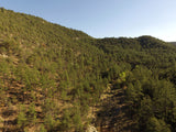 APLITE GOLD, Placer Mining Claim, Bear Creek, Grant County, New Mexico