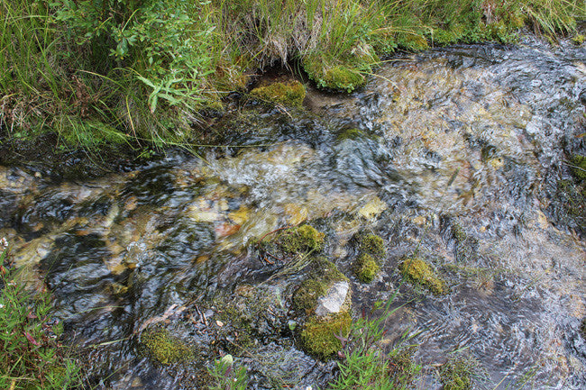 CORKY GOLD Placer Mining Claim, Trout Creek, Beaverhead County, Montana