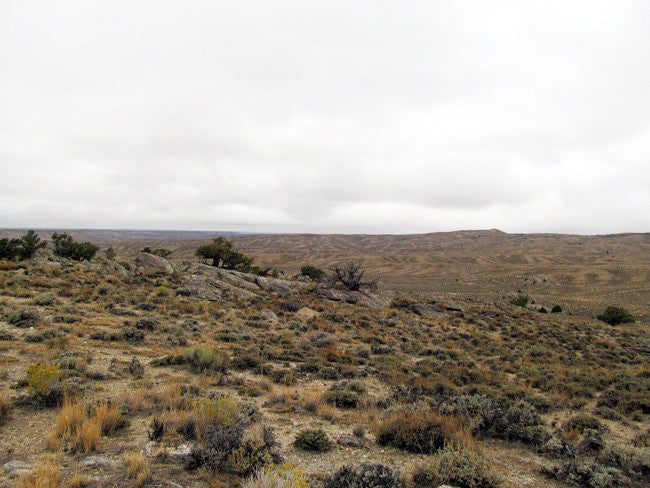 DUCK BONE JADE, Placer Mining Claim, Big Horn Jade, Fremont County, Wyoming